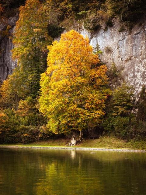 Das Luegstein Kiefersfelden Exteriör bild
