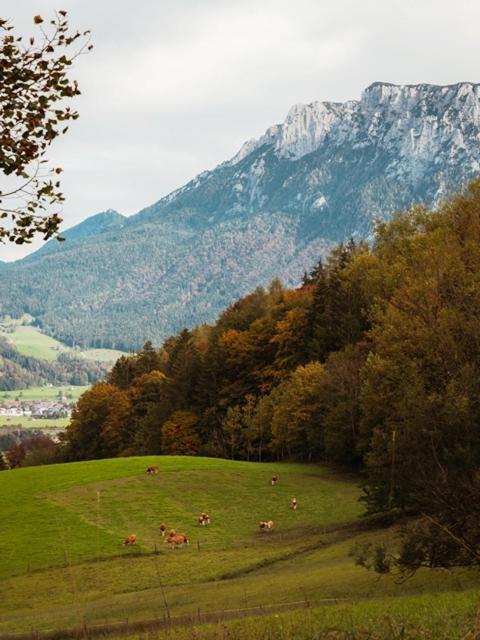 Das Luegstein Kiefersfelden Exteriör bild